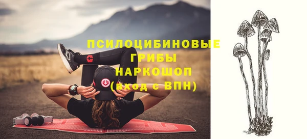 PSILOCYBIN Богданович