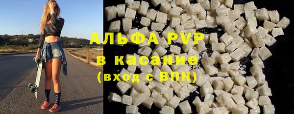 PSILOCYBIN Богданович