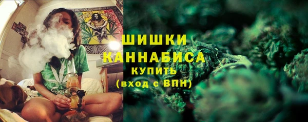 PSILOCYBIN Богданович