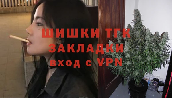 PSILOCYBIN Богданович