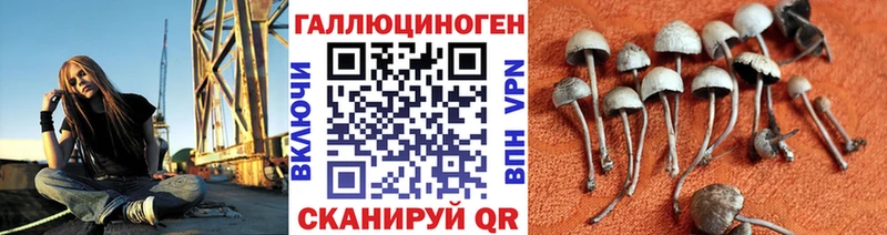 Псилоцибиновые грибы прущие грибы Медвежьегорск