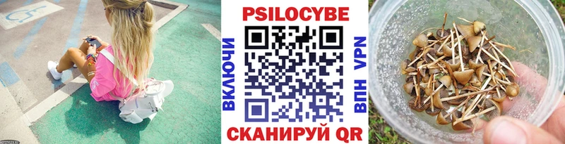 Псилоцибиновые грибы прущие грибы  Медвежьегорск 